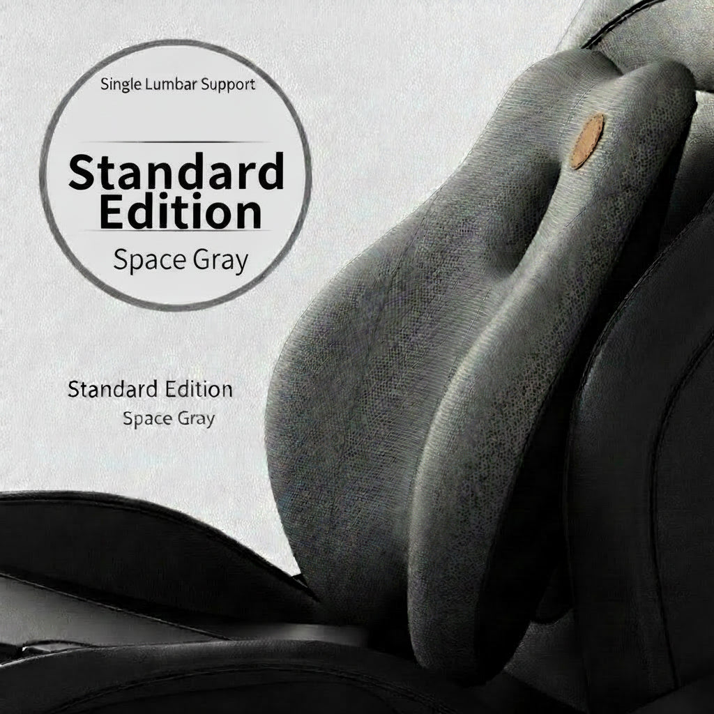 car back support cushion